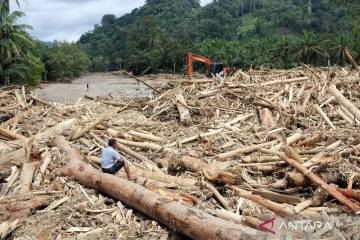 Government Sues Firms Over Environmental Damage in North Sumatra