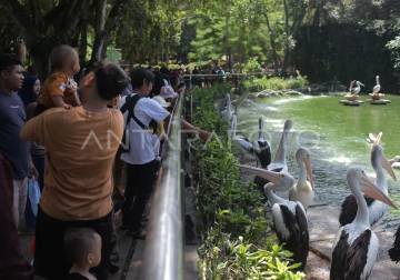 Ragunan Zoo Visitors Increase During Isra' Mi'raj Holiday 