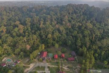 East Kalimantan Maintains Tropical Forest Cover Amid Industrial Pressures