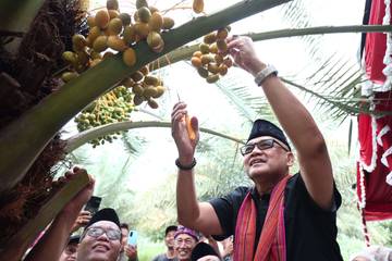 North Lombok Dates Integrated Into National Hajj Ecosystem