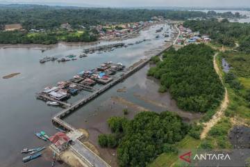 Indonesia’s Mangrove Coverage Expands to 3.45 Million Hectares