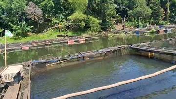 South Kalimantan Pushes Legalization for Riam Kanan Fishers