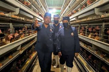 South Sumatra Quarantine Accompanies Egg Farmers Go Export