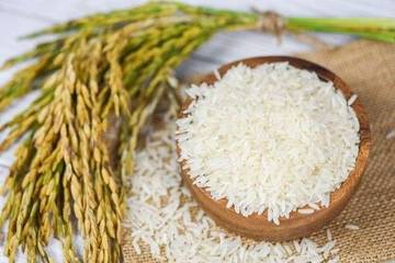 Indonesia Declares No Rice Imports in 2026