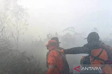 West Aceh Teams Battle Growing Nine-Hectare Peatland Fire