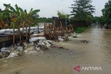 Citarum River Breach Impacts 553 Households in Muaragembong