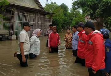 Tangerang Floods Submerge 804 Hectares of Rice Fields