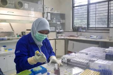BRIN Develops Breast Cancer Therapy from Mangosteen Peel Compound