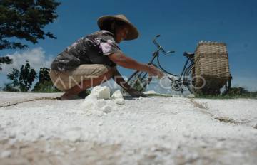 Indonesia Targets Import Cuts via Cassava Starch
