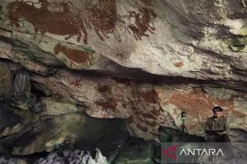 BRIN Unveils Oldest Rock Art Found in Leang Metanduno, Sulawesi