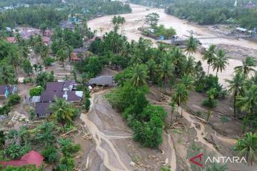 Walhi: Company Permit Revocation is Initial Step in Ecological Recovery