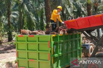 Palm Oil Industry Seen as Backbone of Indonesia’s Geopolitical Economy