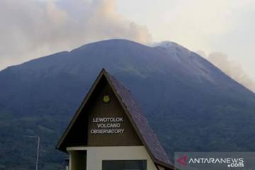 Ile Lewotolok Eruptions Surge to 3,544 in 18 Days