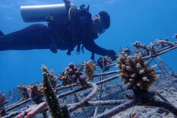 Indonesia Urges Global Action to Restore Marine Ecosystems at WEF