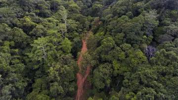 East Kalimantan Strengthens Collaborative Management of Wehea-Kelay Landscape