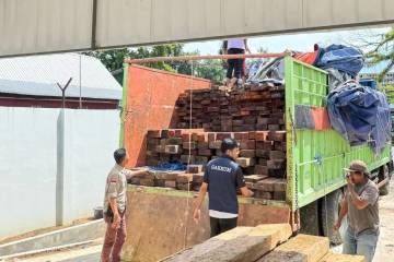 Ministry Thwarts Illegal Shipment of 544 Rare Kumea Logs in South Sulawesi