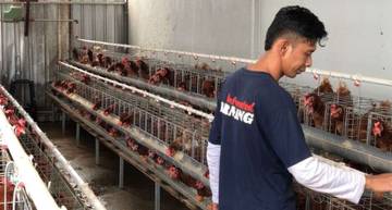 Semarang Prison Greenhouse Program Equips Inmates with Self-Reliance Skills