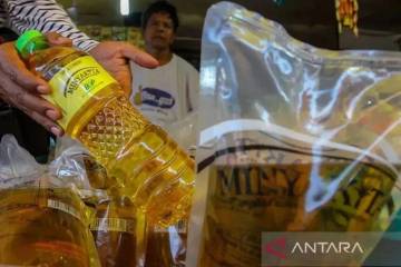 Trade Ministry: CPO Export Slump Slows Minyakita Supply