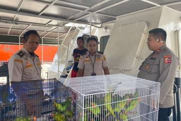 Sulawesi Police Seize 193 Endemic Birds in Smuggling Bust