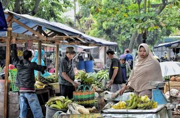 Economic Growth in 2026 Estimated to Reach 5.4 Percent: CFSS