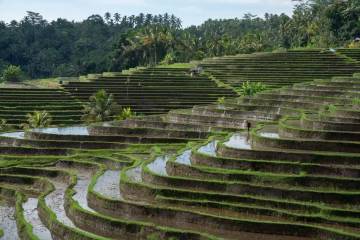 Subak, UNESCO World Heritage