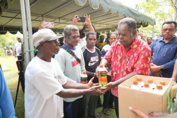 Southwest Papua Distributes 17,750 Liters Organic Fertilizer to Farmers
