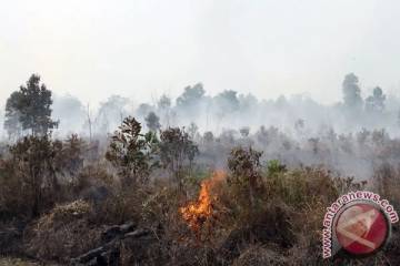 Riau Detects 46 Hotspots, Indragiri Hilir Leads Fire Alert