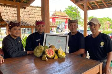  Banyuwangi's Red Durian Variety Receives Geographical Indication