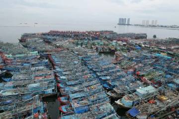 Govt Moves to Improve Safety at Muara Angke Fishing Port