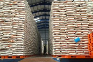 Indonesia Ready to Export Rice Next April