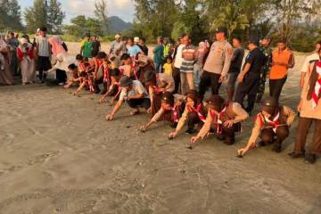 Conservation Group Releases 90 Sea Turtle Hatchlings on Aceh Coast