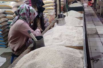 Farmer Unions Urge Stronger Rice Reserves to Prevent Crop Failure