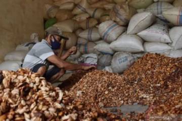 Indonesia Sets July 2026 Reference Prices for Cocoa and Forestry Exports