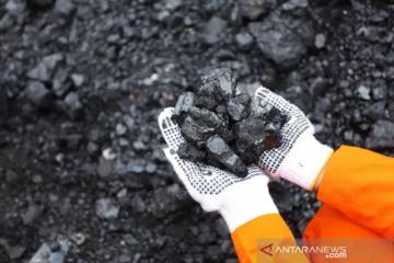 Economist Urges BI to Toughen Sanctions on Resource Export Proceeds