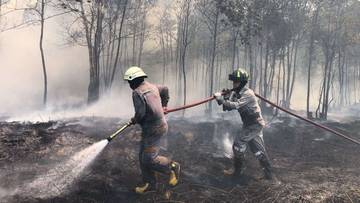 Bintan Firefighters Extinguish Four-Hectare Blaze in Sukoharjo Village