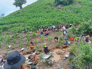 Lombok Villagers Resume Illegal Gold Mining Amid Soaring Prices