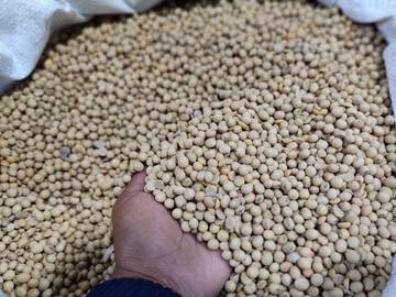 RI’s MBG Program Increases Soybean Demand, U.S. Remains Key Supplier