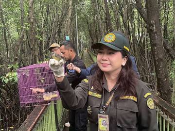 Animal Arriving from India Curbed Amid Nipah Concerns
