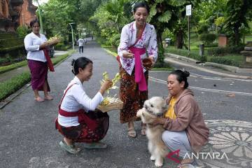 Exploring Tumpek Uye to Love Nature and Animals