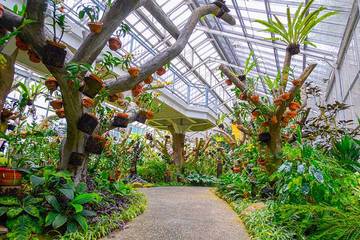 Bogor Botanical Garden Wins Prestigious ASEAN Tourism Award