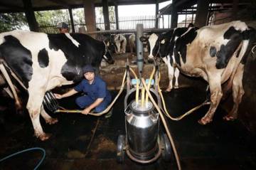 House Commission VII Highlights Concerns Over Local Dairy Quality