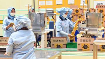 Indonesia’s Manufacturing Industry Rises on Strong Market Demand