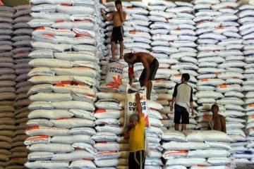 Bulog Targets Southeast Asian Markets for 1 Million Ton Rice Export in 2026