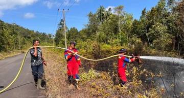 Nearly Two Hektars Scorched in Sungai Pinang Land Fire(Annaila)