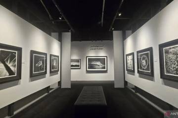 Hengki Koentjoro's Photography Shines at Xposure 2026