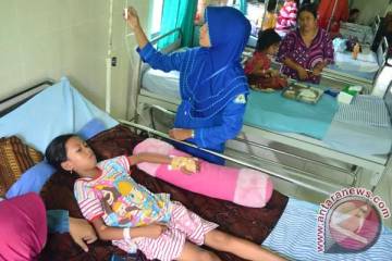  ASEAN Needs Collaboration to Tackle Dengue Surge
