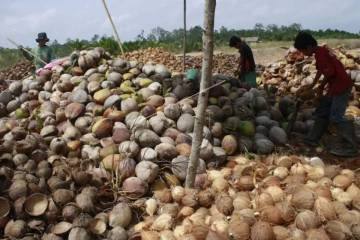 Indonesia Eyes Green Growth as ICA-CEPA Opens Canadian Markets