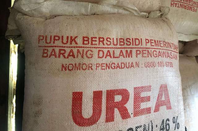 Ironi Pupuk Bersubsidi di Sanggau