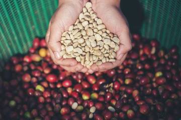 Cara Menyeduh Kopi Kampung dengan Rasa Otentik
