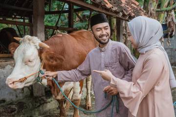 Tips Memilih Hewan Kurban Sehat dan Sesuai Syariat